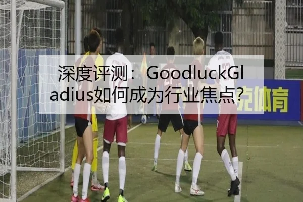 深度评测：GoodluckGladius如何成为行业焦点？